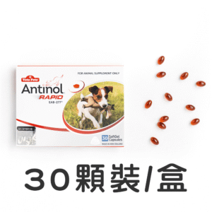 Antinol安適得 狗狗關節保健食品 30入/盒（犬貓兔鼠適用）