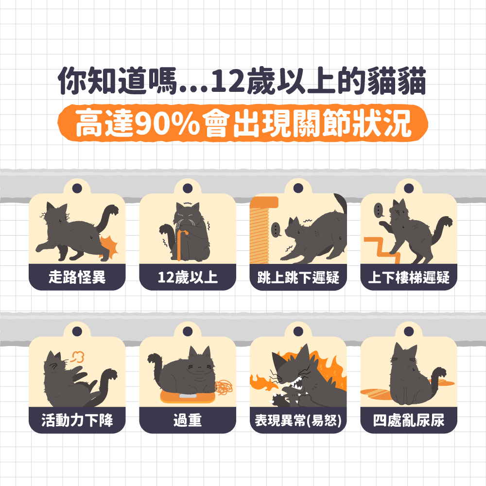 Antinol安適得 寵物關節保健食品(貓咪包裝)30入/盒(犬貓兔鼠適用):圖片 4