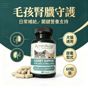 AminAvast 犬貓腎臟 保健膠囊 專利胺基酸 狗貓腎臟保養 營養補充