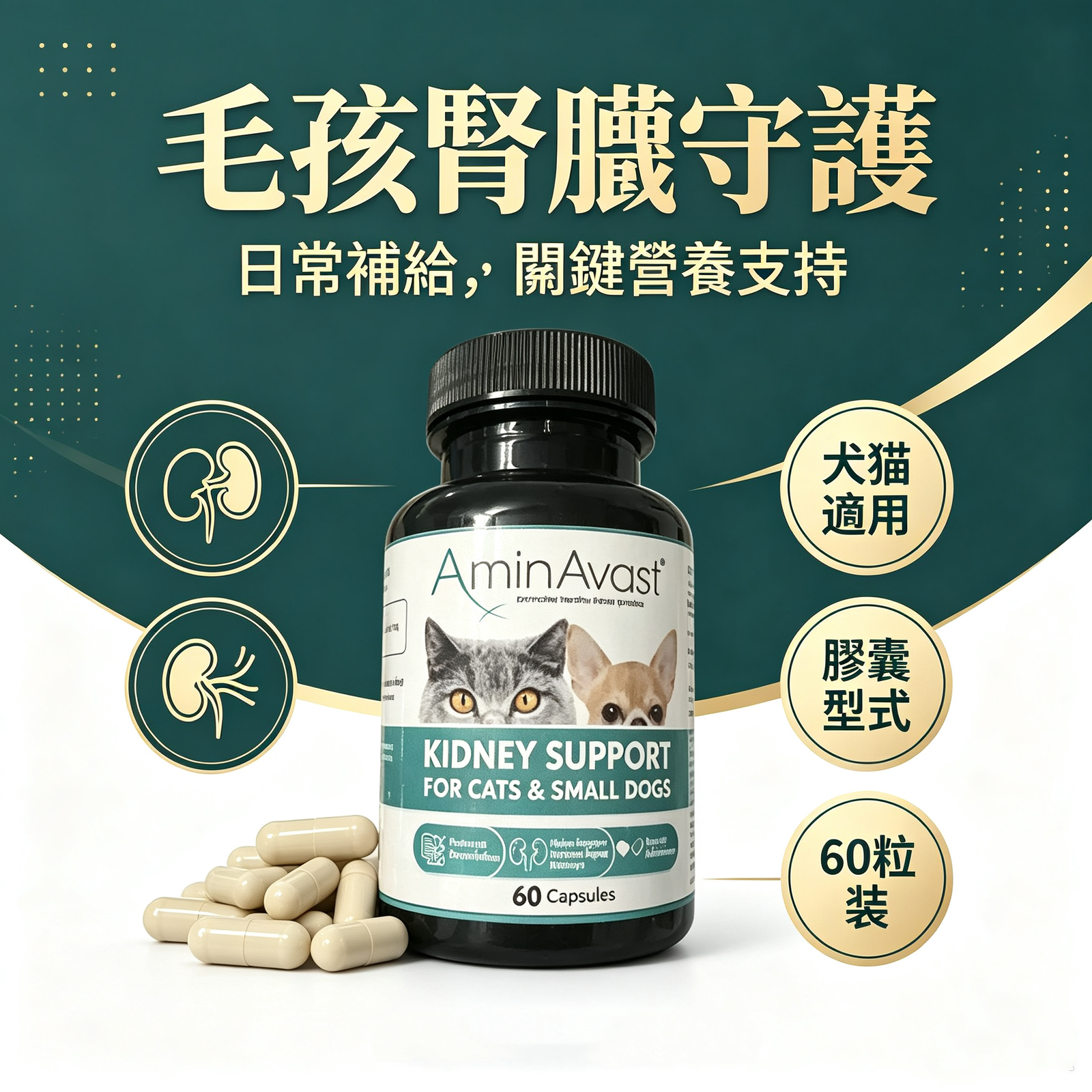 AminAvast 犬貓腎臟 保健膠囊 專利胺基酸 狗貓腎臟保養 營養補充