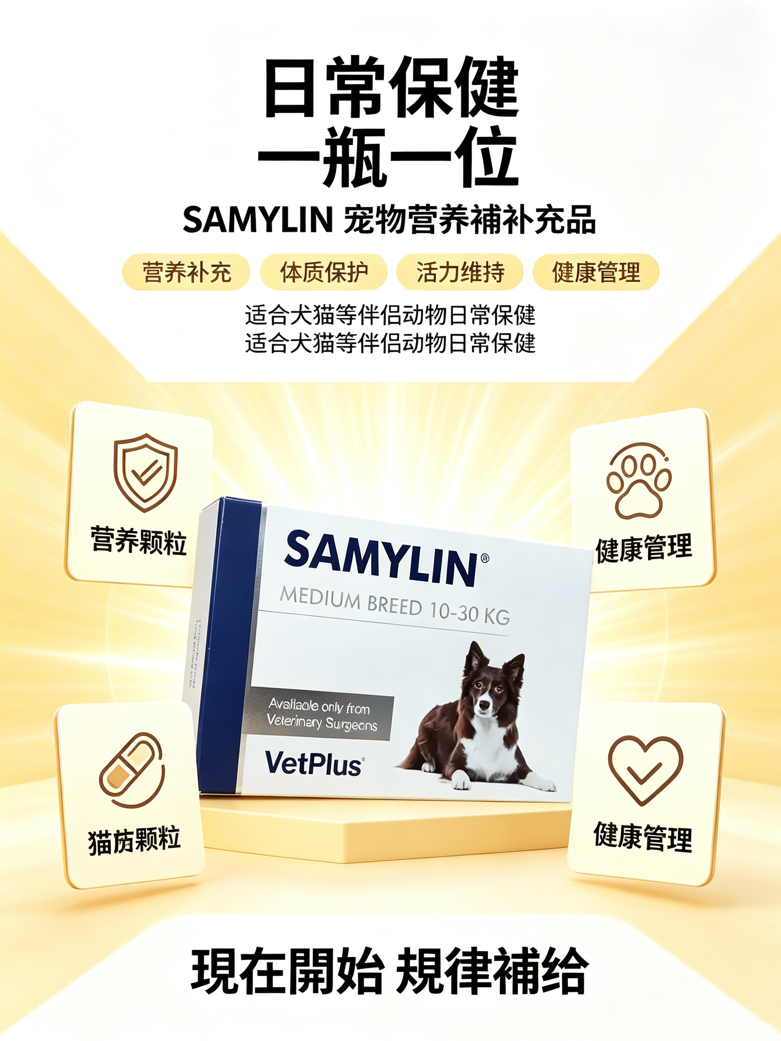 VetPlus SAMYLIN 中型犬肝臟支援片 適用於10–30公斤 每盒30片:圖片 2