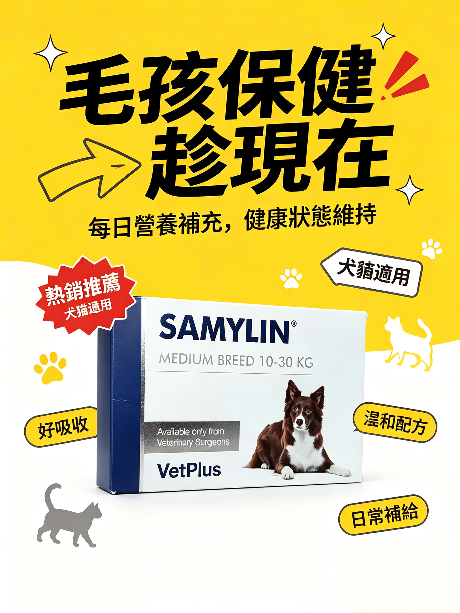 VetPlus SAMYLIN 中型犬肝臟支援片 適用於10–30公斤 每盒30片:圖片 3