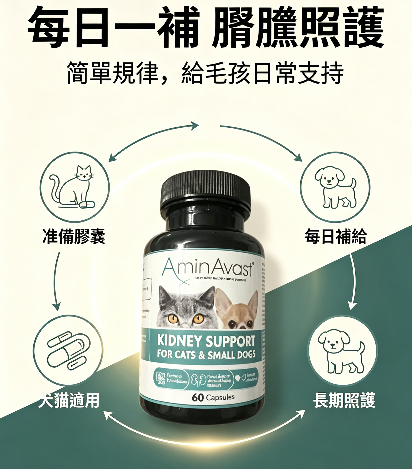 AminAvast 犬貓腎臟 保健膠囊 專利胺基酸 狗貓腎臟保養 營養補充:圖片 5