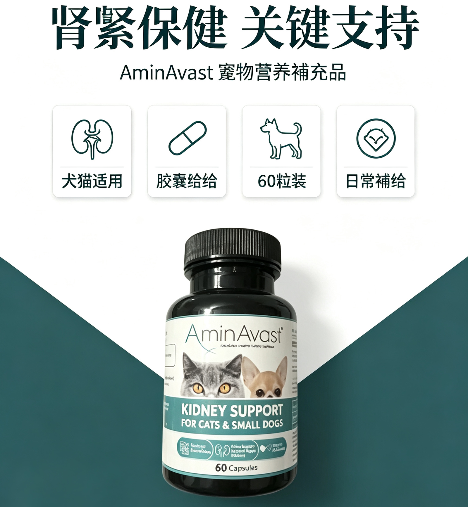 AminAvast 犬貓腎臟 保健膠囊 專利胺基酸 狗貓腎臟保養 營養補充:圖片 4