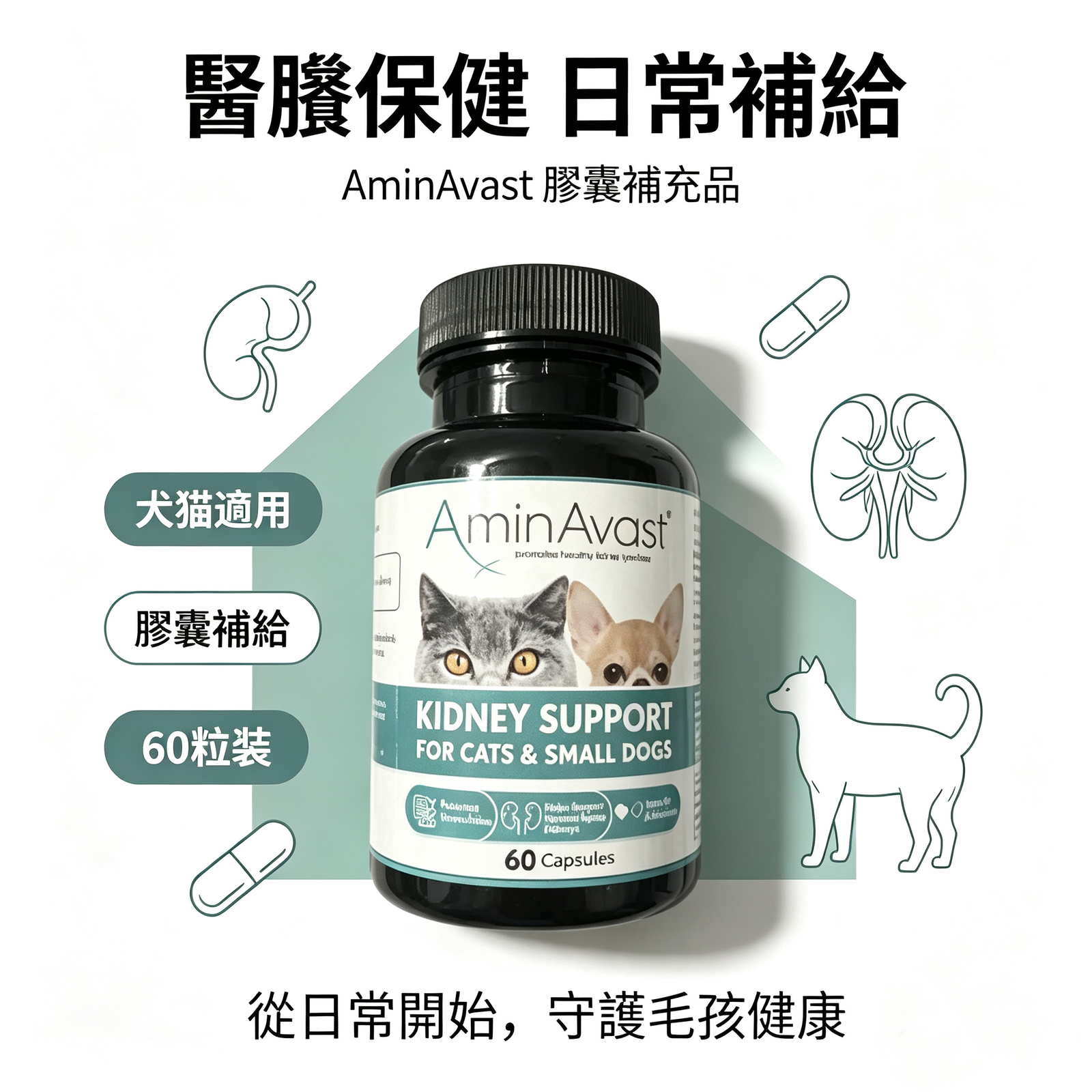 AminAvast 犬貓腎臟 保健膠囊 專利胺基酸 狗貓腎臟保養 營養補充:圖片 3
